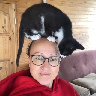 Telegram profile photo for КотоСериалити 🐱📺