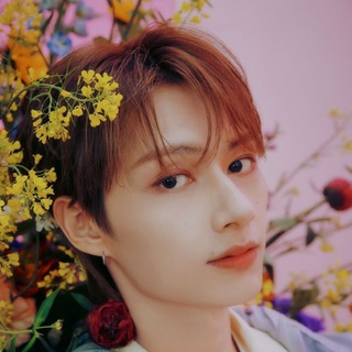 Telegram profile photo for Moon Junhui • 문준휘