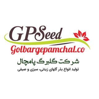 Telegram profile photo for گلبرگ پامچال / Golbargepamchal