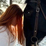 Telegram profile photo for <<The_ horse_world>>