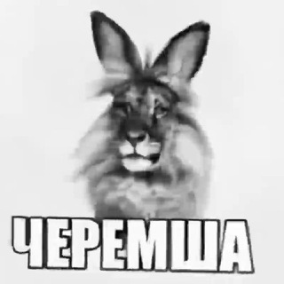 Telegram profile photo for ЛЮБИМЫЙ МЕМ CONFESSION ‼️