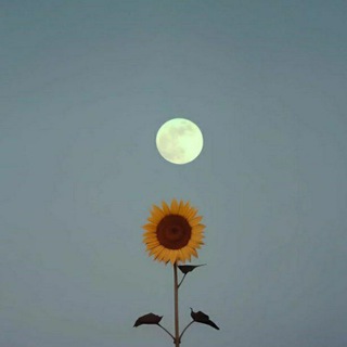 Telegram profile photo for - الوّعي بــالآخـرة.