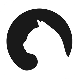 Telegram profile photo for 穿墙猫_频道💡