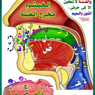 Telegram profile photo for 📚 مفتاح الإتقان في تجويد القرآن الكريم 📚