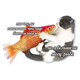 Telegram profile photo for Бездна рыбы🎣
