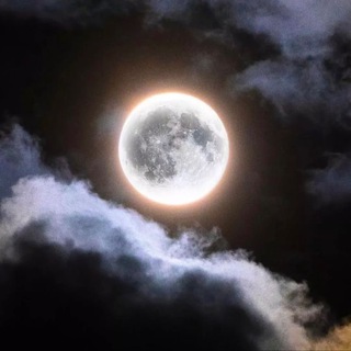 Telegram profile photo for Moon light 🤍