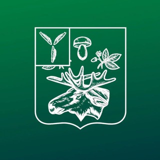 Telegram profile photo for Базарно-Карабулакский район