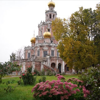 Telegram group profile photo for Всегда на связи 197 округ