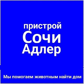 Telegram group profile photo for Пристрой Сочи Адлер животные Потеряшки