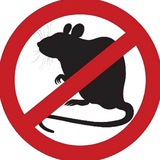 Telegram profile photo for КрысолOFF