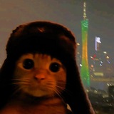 Telegram profile photo for Что-то здесь не так..