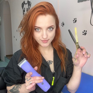 Telegram profile photo for Будни грумера