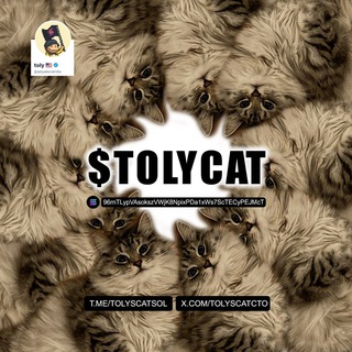 Telegram group profile photo for Toly's Cat | Co-founder of Solana | $tolycat | CTO