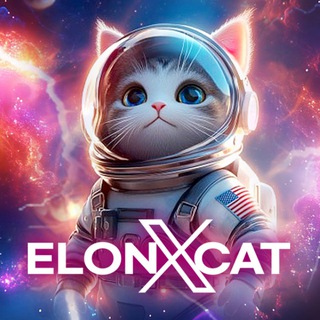 Telegram profile photo for ELONXCAT PORTAL