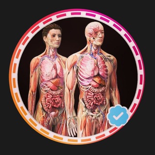 Telegram profile photo for Anatomy Decoded