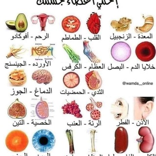 Telegram profile photo for معلومات طبية 👩⚕🌺