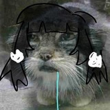 Telegram profile photo for nokoriga