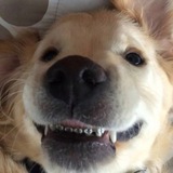 Telegram profile photo for скандальная личность