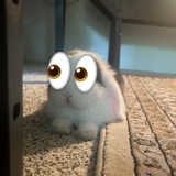 Telegram profile photo for киорыч