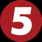 Telegram profile photo for 5 канал