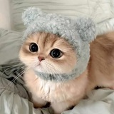 Telegram profile photo for 💅 тупо кобер