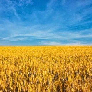 Telegram profile photo for Смерть кацапським окупантам! Слава Україні!