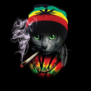 Telegram group profile photo for Извини мама я ватаката щщщит