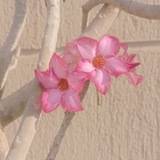 Telegram profile photo for للقراءة لاحقاً| مقتطفات