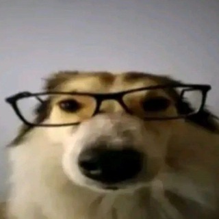 Telegram profile photo for Извержение Олега