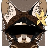 Telegram profile photo for 𝙏𝙝𝙚 𝙘𝙤𝙣𝙨𝙩𝙚𝙡𝙡𝙖𝙩𝙞𝙤𝙣 𝙤𝙛 𝙨𝙩𝙖𝙧𝙨 | 𝙎𝙩𝙪𝙙𝙞𝙤 |