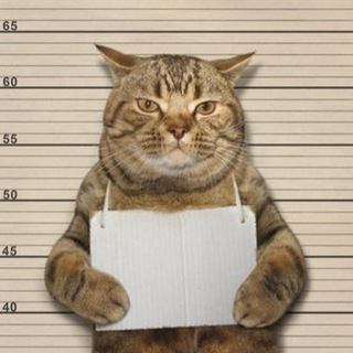Telegram profile photo for Блог от Боба