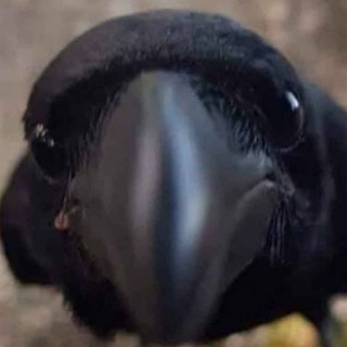 Telegram profile photo for Нейросодом