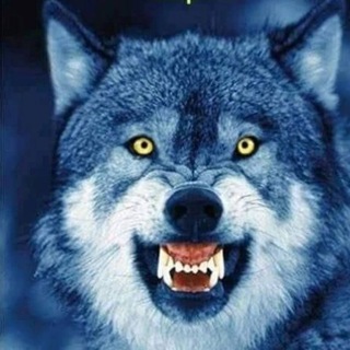 Telegram profile photo for Strategie per affrontare il black out