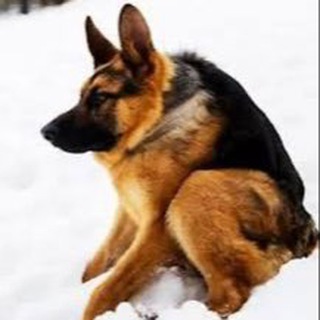 Telegram profile photo for Андрюха.mp4