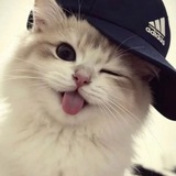 Telegram profile photo for 𝑬𝒏𝒊𝒈𝒎𝒂