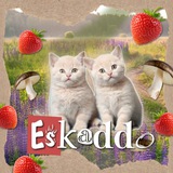 Telegram profile photo for 𝐄skaddo ✶