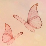 Telegram profile photo for الـبـنــ🌷ـفـسـج