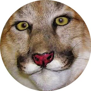 Telegram profile photo for Трепет Юпитера