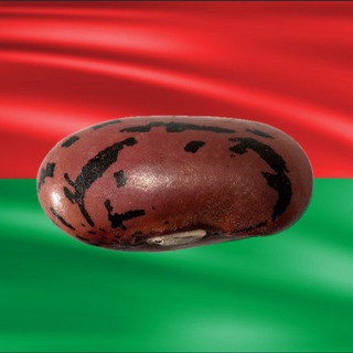 Telegram profile photo for Каламбуркина-Фасоль 🫘