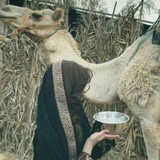 Telegram profile photo for غـنـّج .