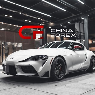 Telegram profile photo for 😱🔥FOREX ITALIA 100% GRATUITO