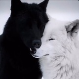 Telegram profile photo for 𒆜'𝐎𝖻𝗌𝖼𝗎𝗋𝖺 .