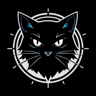 Telegram profile photo for TechCat