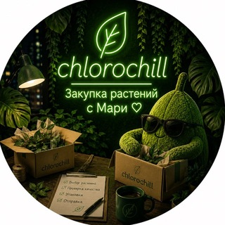 Telegram profile photo for ℂ𝕙𝕝𝕠𝕣𝕠ℂ𝕙𝕚𝕝𝕝: Закупки растений с Мари