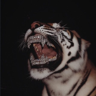 Telegram profile photo for Реальный прогресс