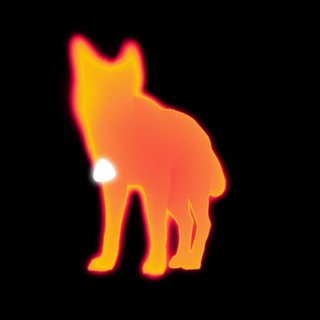 Telegram profile photo for REC LIS MUSIC