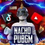 Telegram profile photo for NACHO BY GEFORCE PUBGM