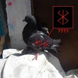 Telegram profile photo for карта