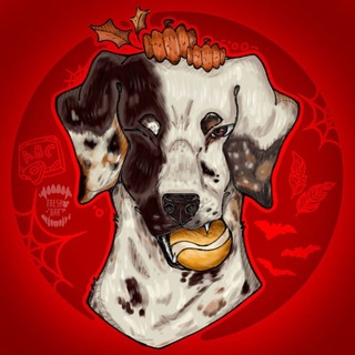 Telegram profile photo for Отзывы конкурсов Арзист
