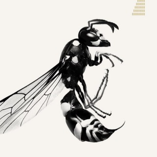 Telegram profile photo for дороже родины